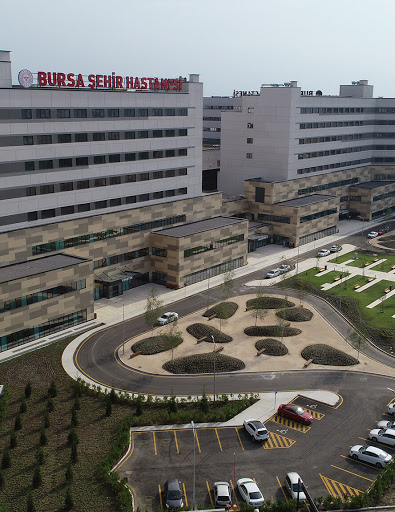  Bursa Şehir Hastanesi Üroloji Doktorları 