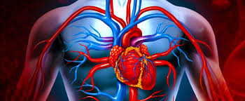 Çiğli Eğitim ve Araştırma Hastanesi Kalp Damar Cerrahisi Doktorları