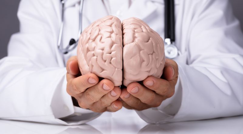 Haseki Eğitim ve Araştırma Hastanesi Beyin ve Sinir Cerrahisi Doktorları