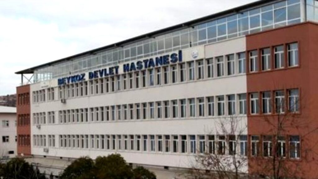  İstanbul Devlet Hastaneleri Kadın Hastalıkları ve Doğum Doktorları  
