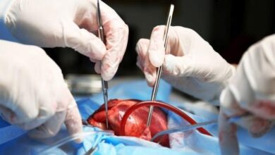 Erzurum Bölge Eğitim ve Araştırma Hastanesi Kalp Damar Cerrahisi Doktorları