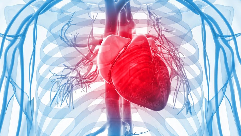 Haseki Eğitim ve Araştırma Hastanesi Kalp Damar Cerrahisi Doktorları