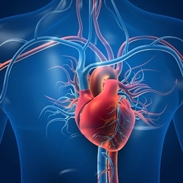Çankırı Devlet Hastanesi Kalp Damar Cerrahisi Doktorları